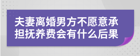 夫妻离婚男方不愿意承担抚养费会有什么后果