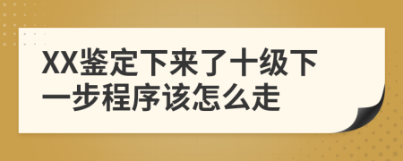 XX鉴定下来了十级下一步程序该怎么走