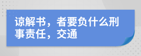 谅解书，者要负什么刑事责任，交通