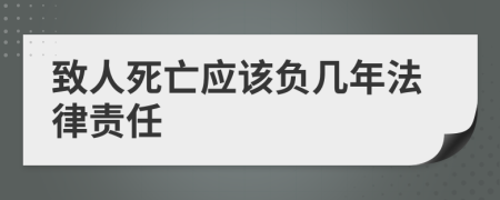 致人死亡应该负几年法律责任