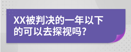 XX被判决的一年以下的可以去探视吗?