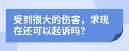 受到很大的伤害，求现在还可以起诉吗？