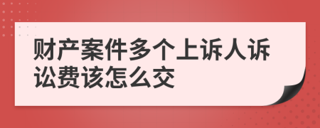 财产案件多个上诉人诉讼费该怎么交