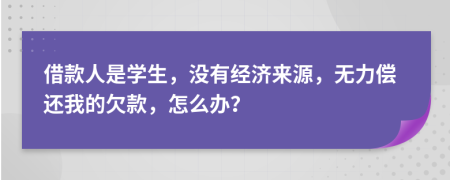 借款人是学生，没有经济来源，无力偿还我的欠款，怎么办？