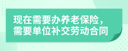 现在需要办养老保险，需要单位补交劳动合同