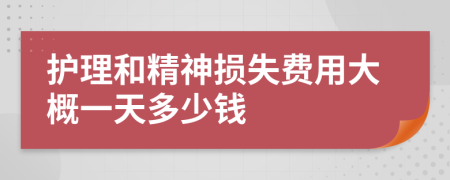 护理和精神损失费用大概一天多少钱