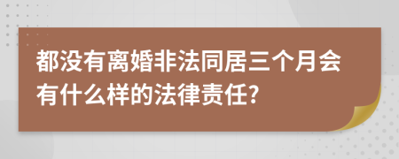 都没有离婚非法同居三个月会有什么样的法律责任?