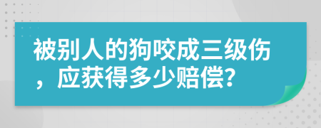 被别人的狗咬成三级伤，应获得多少赔偿？