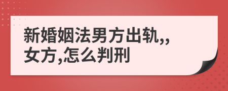 新婚姻法男方出轨,,女方,怎么判刑