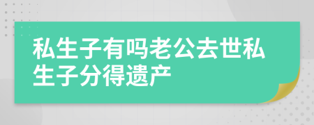 私生子有吗老公去世私生子分得遗产