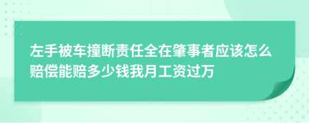 左手被车撞断责任全在肇事者应该怎么赔偿能赔多少钱我月工资过万
