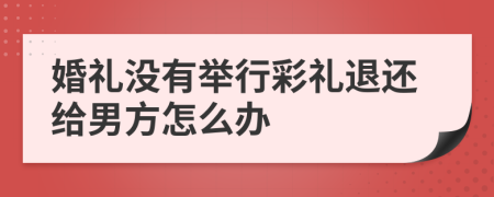 婚礼没有举行彩礼退还给男方怎么办