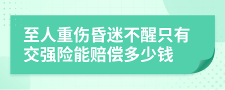 至人重伤昏迷不醒只有交强险能赔偿多少钱