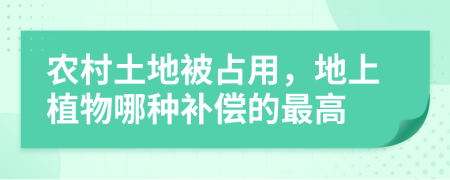 农村土地被占用，地上植物哪种补偿的最高