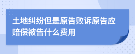 土地纠纷但是原告败诉原告应赔偿被告什么费用