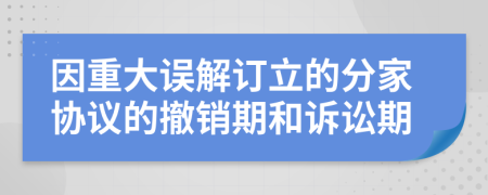 因重大误解订立的分家协议的撤销期和诉讼期