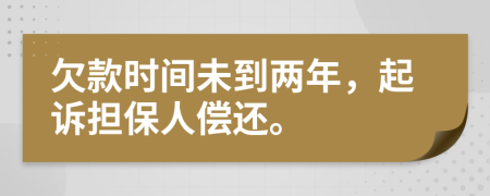 欠款时间未到两年，起诉担保人偿还。