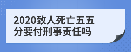 2020致人死亡五五分要付刑事责任吗