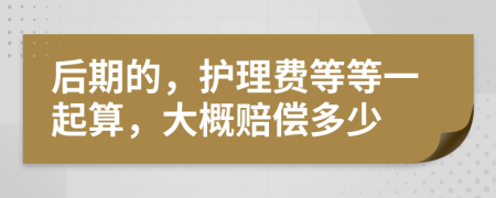 后期的，护理费等等一起算，大概赔偿多少
