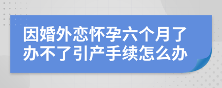 因婚外恋怀孕六个月了办不了引产手续怎么办