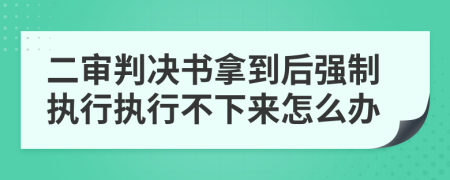 二审判决书拿到后强制执行执行不下来怎么办