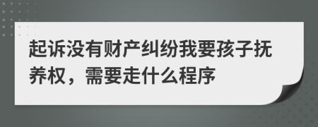 起诉没有财产纠纷我要孩子抚养权，需要走什么程序