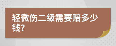 轻微伤二级需要赔多少钱？