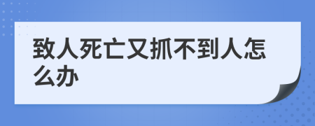 致人死亡又抓不到人怎么办