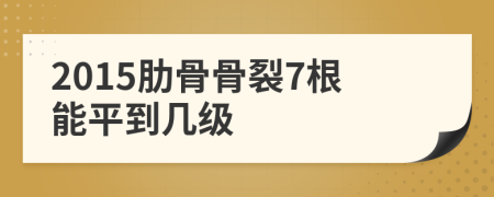 2015肋骨骨裂7根能平到几级