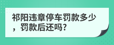 祁阳违章停车罚款多少，罚款后还吗?