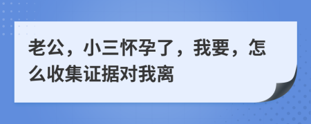 老公，小三怀孕了，我要，怎么收集证据对我离