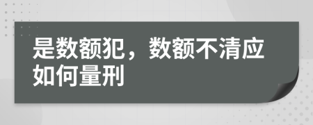 是数额犯，数额不清应如何量刑