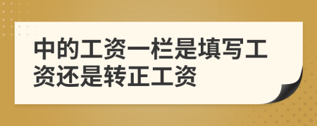 中的工资一栏是填写工资还是转正工资