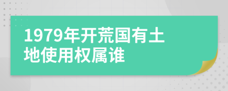 1979年开荒国有土地使用权属谁