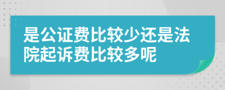 是公证费比较少还是法院起诉费比较多呢