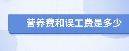 营养费和误工费是多少