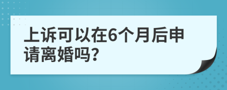 上诉可以在6个月后申请离婚吗？