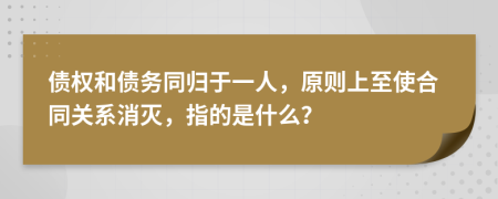 债权和债务同归于一人，原则上至使合同关系消灭，指的是什么？