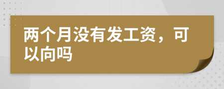 两个月没有发工资，可以向吗