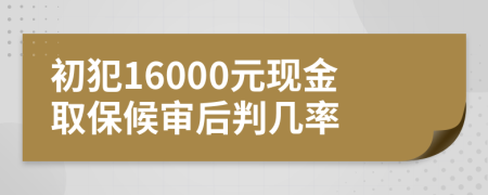 初犯16000元现金取保候审后判几率