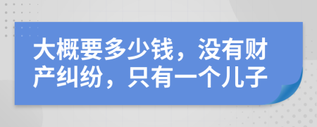 大概要多少钱，没有财产纠纷，只有一个儿子