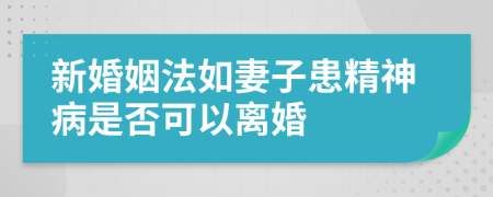 新婚姻法如妻子患精神病是否可以离婚