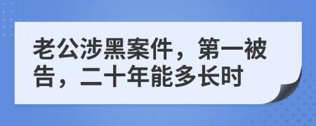 老公涉黑案件，第一被告，二十年能多长时