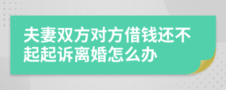 夫妻双方对方借钱还不起起诉离婚怎么办