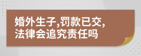 婚外生子,罚款已交,法律会追究责任吗