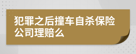 犯罪之后撞车自杀保险公司理赔么