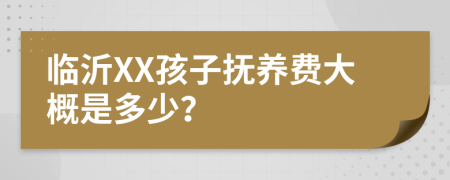 临沂XX孩子抚养费大概是多少？