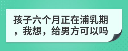 孩子六个月正在浦乳期，我想，给男方可以吗