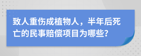 致人重伤成植物人，半年后死亡的民事赔偿项目为哪些？