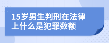 15岁男生判刑在法律上什么是犯罪数额